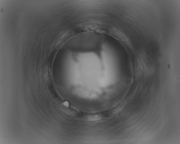 X0000071780169200606301229