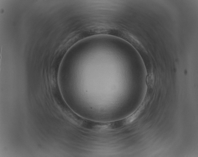 X0000071780170200606301229