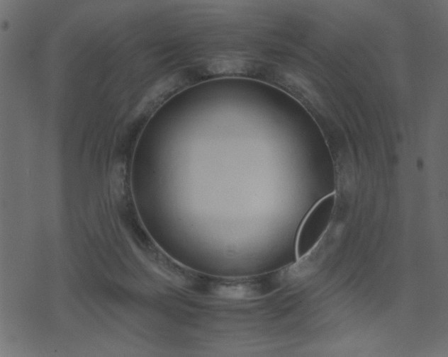 X0000071780171200606301229