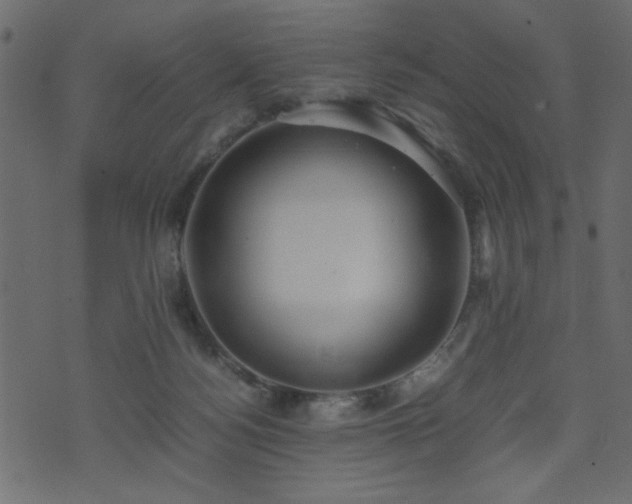 X0000071780172200606301229