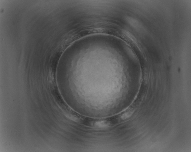 X0000071780173200606301229