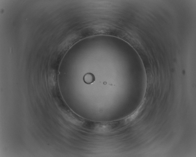 X0000071780174200606301229