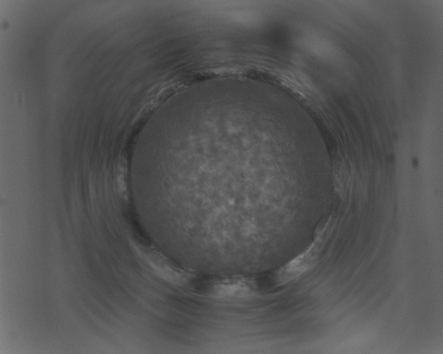 X0000071780175200606301229