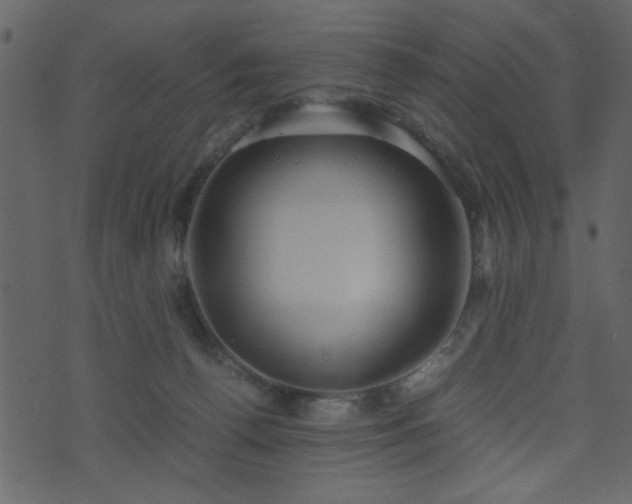 X0000071780176200606301229