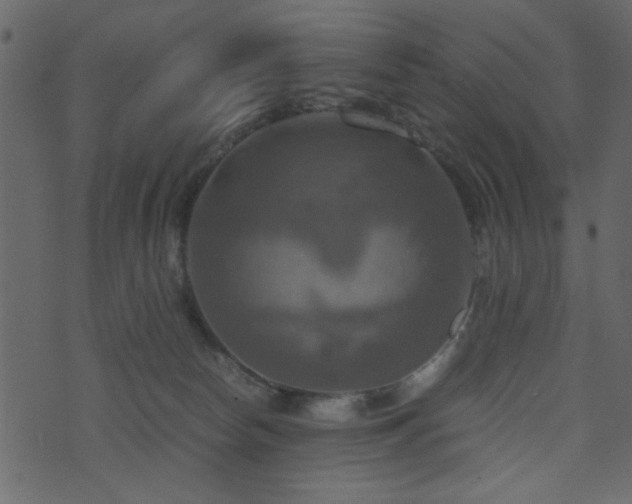 X0000071780178200606301229