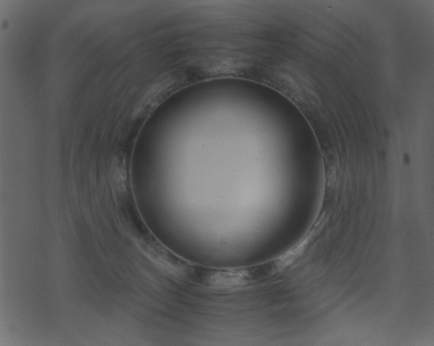 X0000071780179200606301229