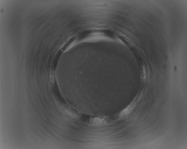 X0000071780180200606301229