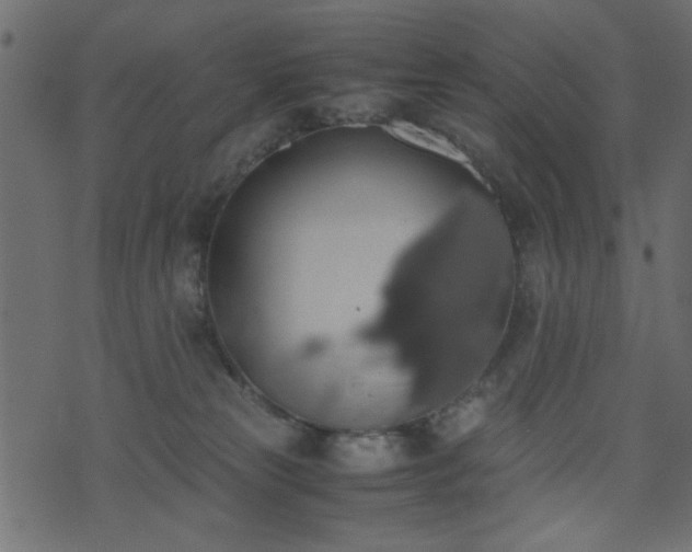 X0000071780181200606301229