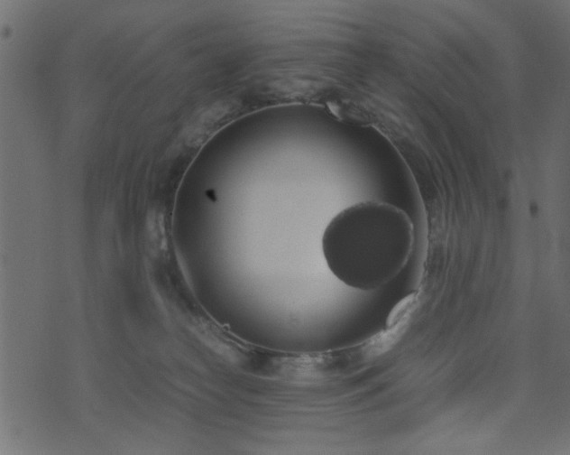 X0000071780182200606301229