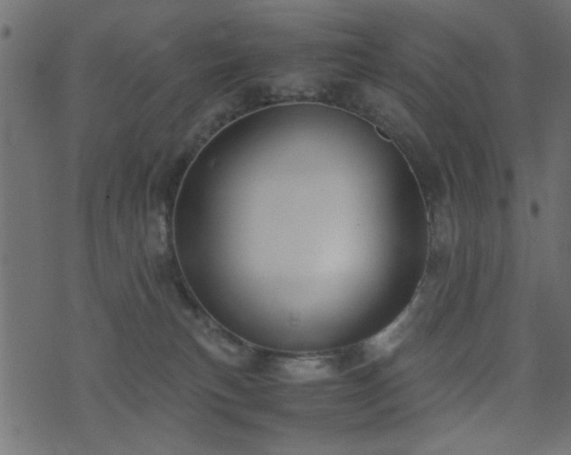 X0000071780183200606301229