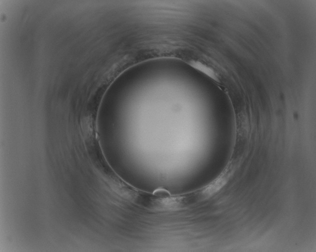 X0000071780184200606301229