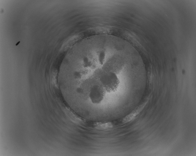 X0000071780185200606301229