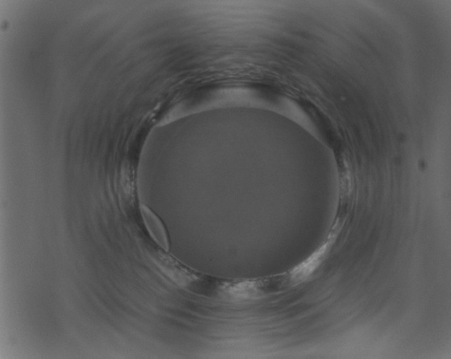 X0000071780186200606301229