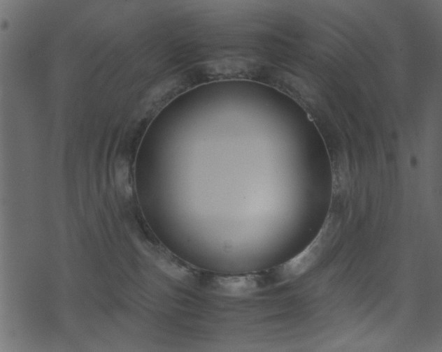 X0000071780187200606301229