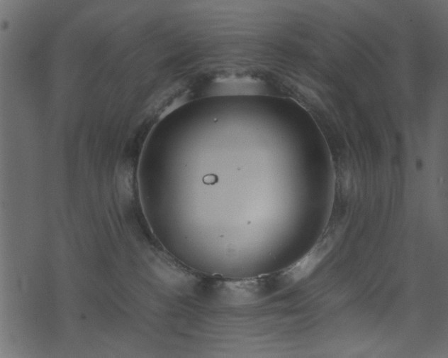 X0000071780188200606301229