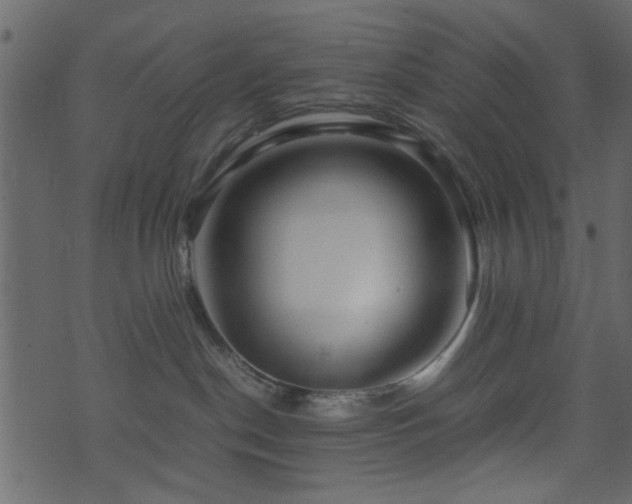 X0000071780190200606301229