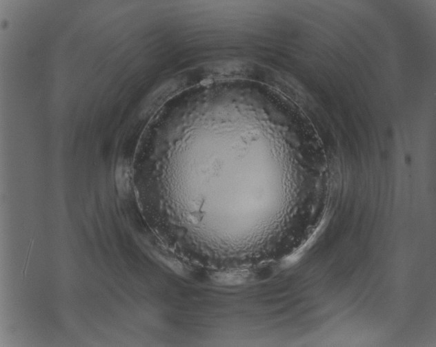 X0000071780191200606301229