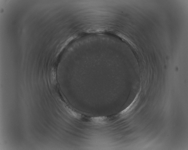 X0000071780192200606301229