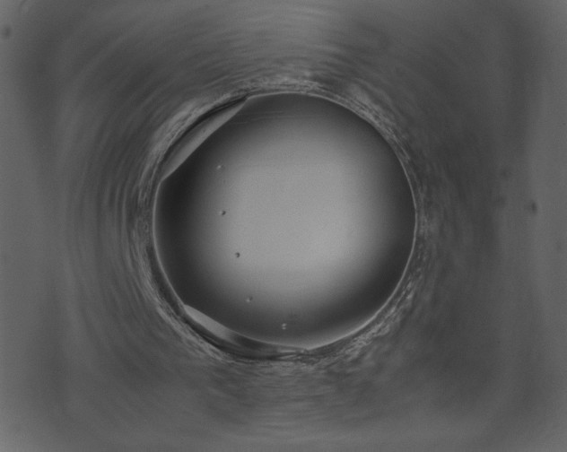 X0000071780193200606301229