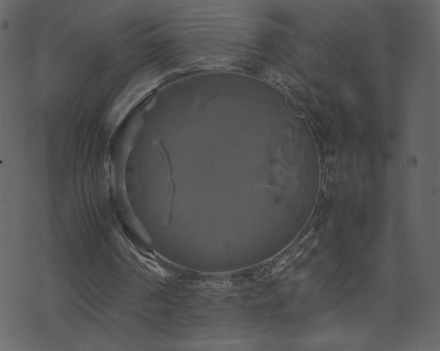 X0000071780194200606301229