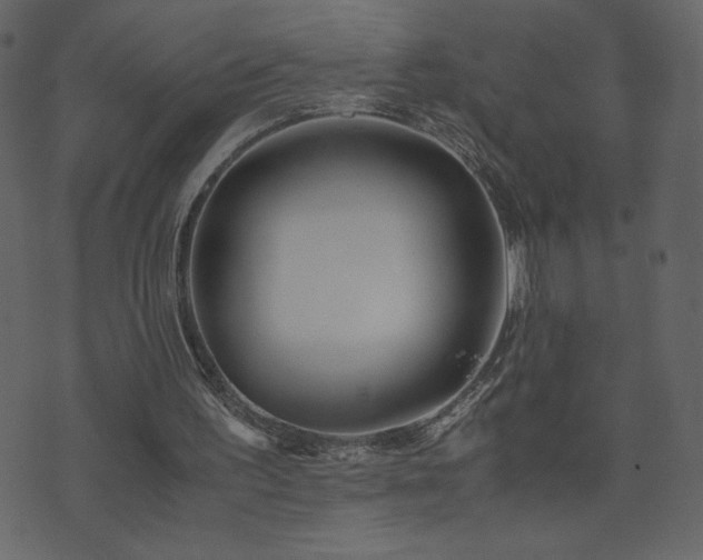 X0000071780195200606301229