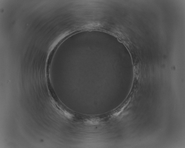 X0000071780196200606301228