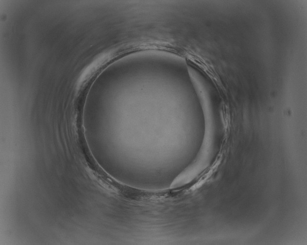 X0000071780197200606301228