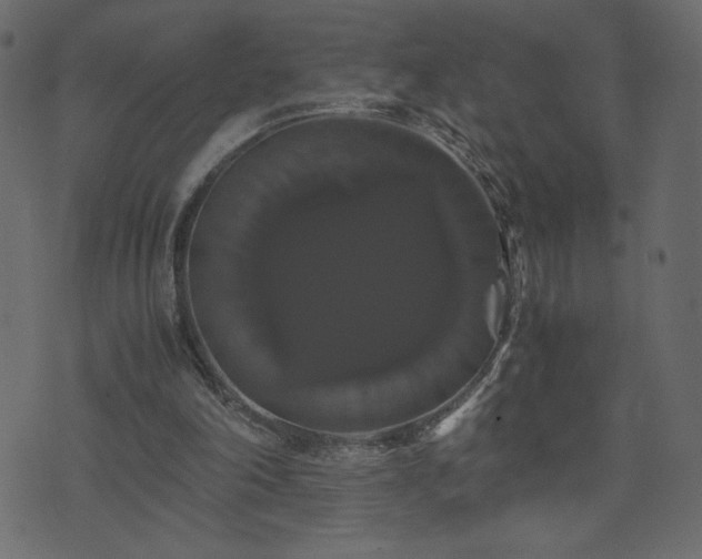 X0000071780198200606301228