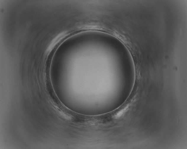 X0000071780199200606301228