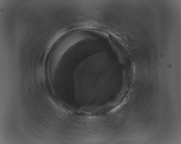 X0000071780200200606301228