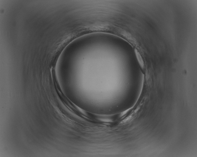 X0000071780201200606301228