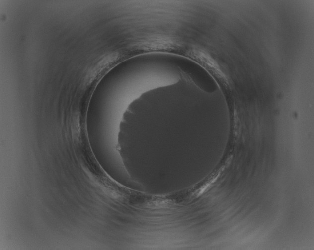 X0000071780202200606301228