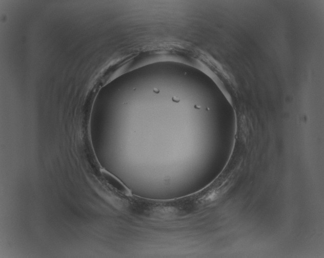 X0000071780203200606301228