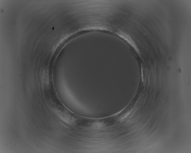 X0000071780204200606301228