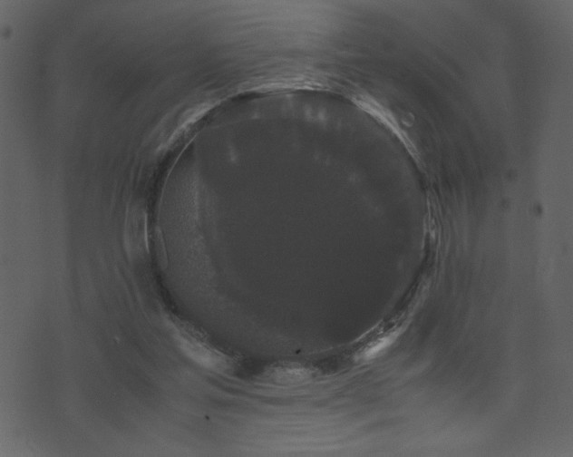 X0000071780205200606301228