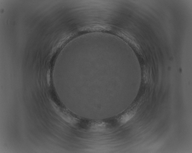 X0000071780206200606301228