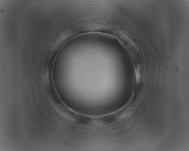 X0000071780207200606301228