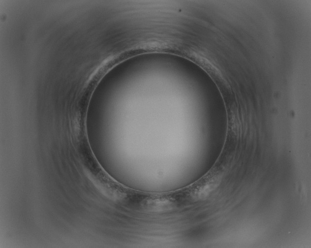 X0000071780208200606301228