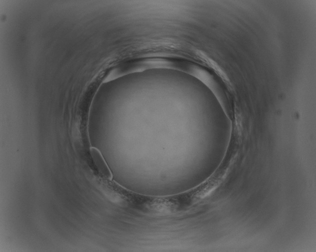 X0000071780209200606301228