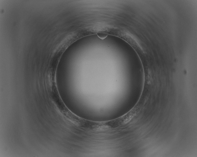 X0000071780210200606301228