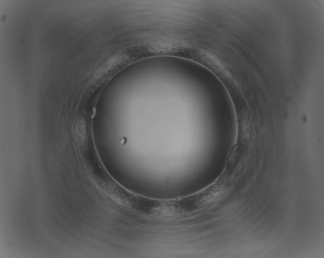 X0000071780211200606301228