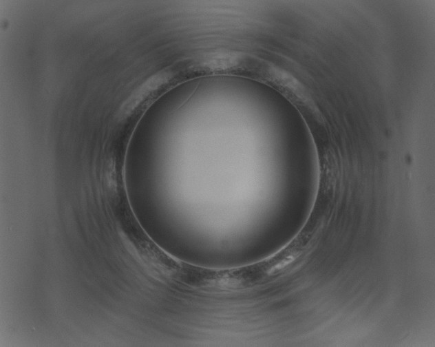 X0000071780212200606301228