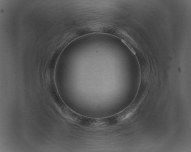 X0000071780213200606301228