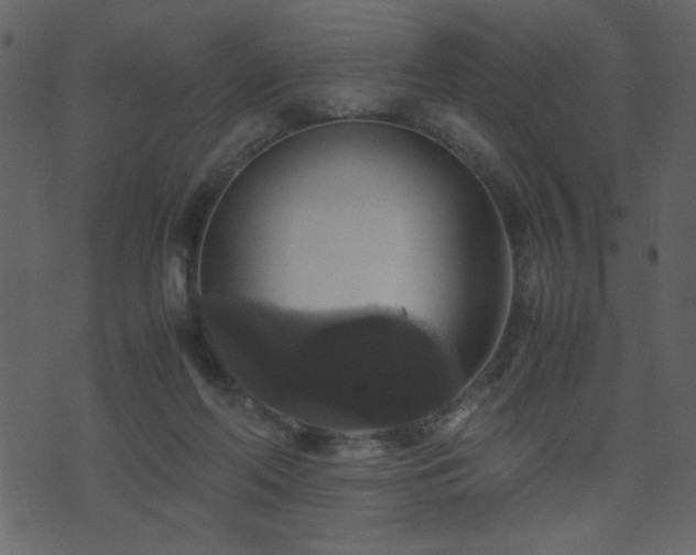 X0000071780214200606301228