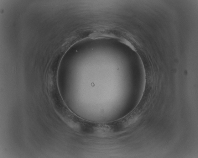 X0000071780215200606301228