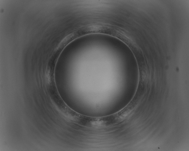 X0000071780216200606301228