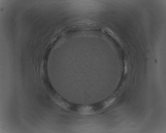 X0000071780217200606301228