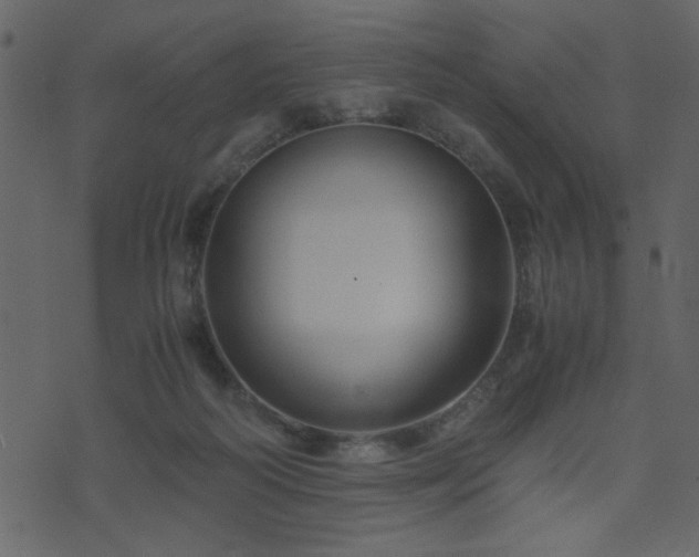 X0000071780218200606301228