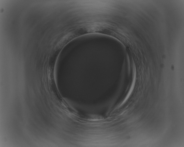 X0000071780219200606301228