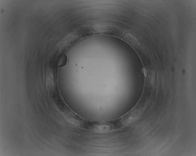 X0000071780220200606301228